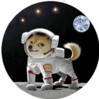 DOGZ,perro espacial,Dogzcoin
